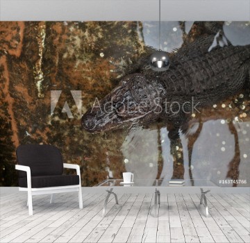 Picture of Nile crocodile Crocodylus niloticus